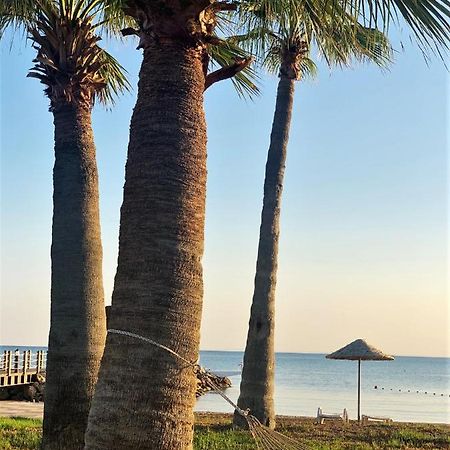 Vokolidha Relaxing Penthouse Suites By The Sea מראה חיצוני תמונה