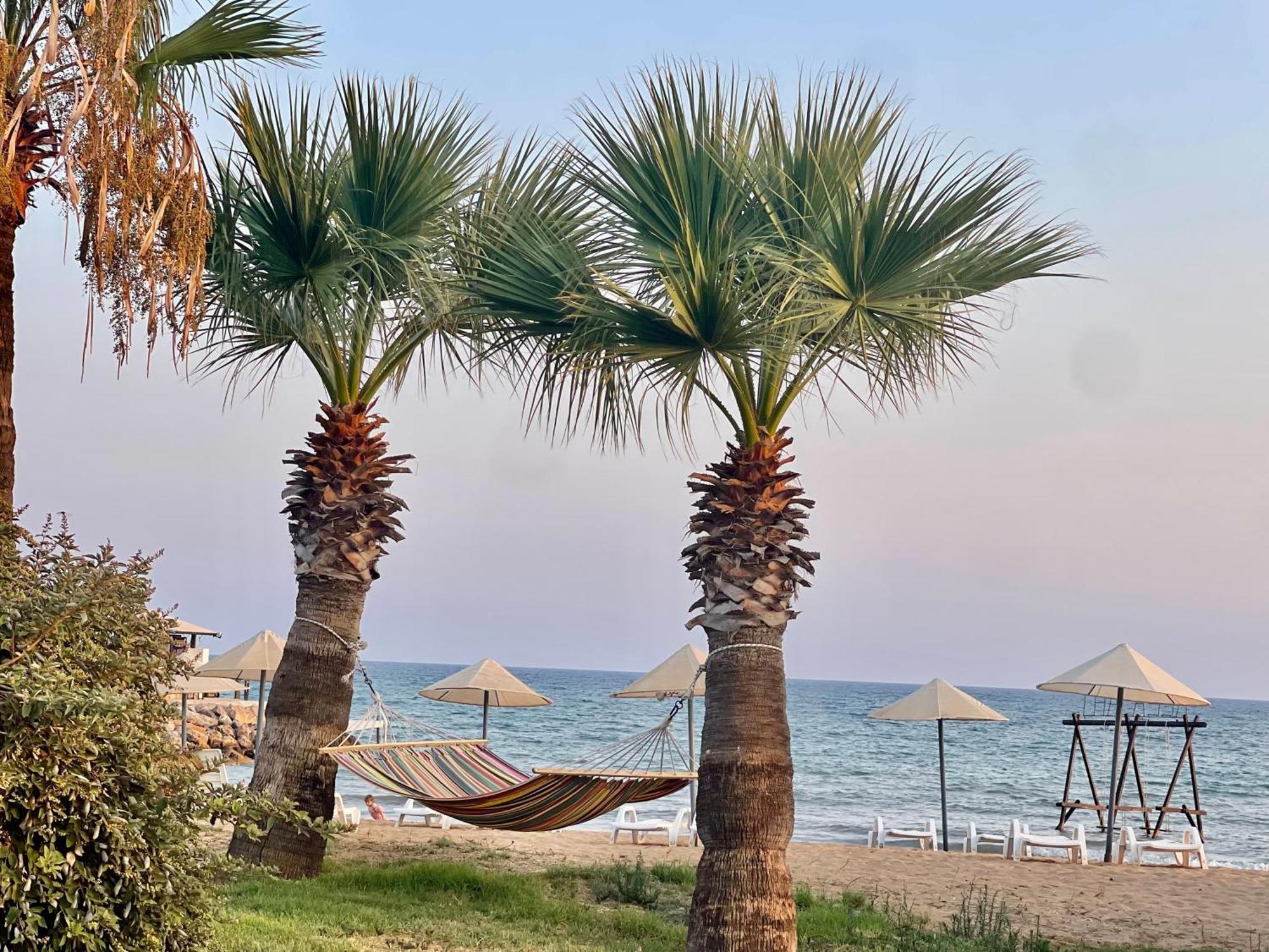Vokolidha Relaxing Penthouse Suites By The Sea מראה חיצוני תמונה