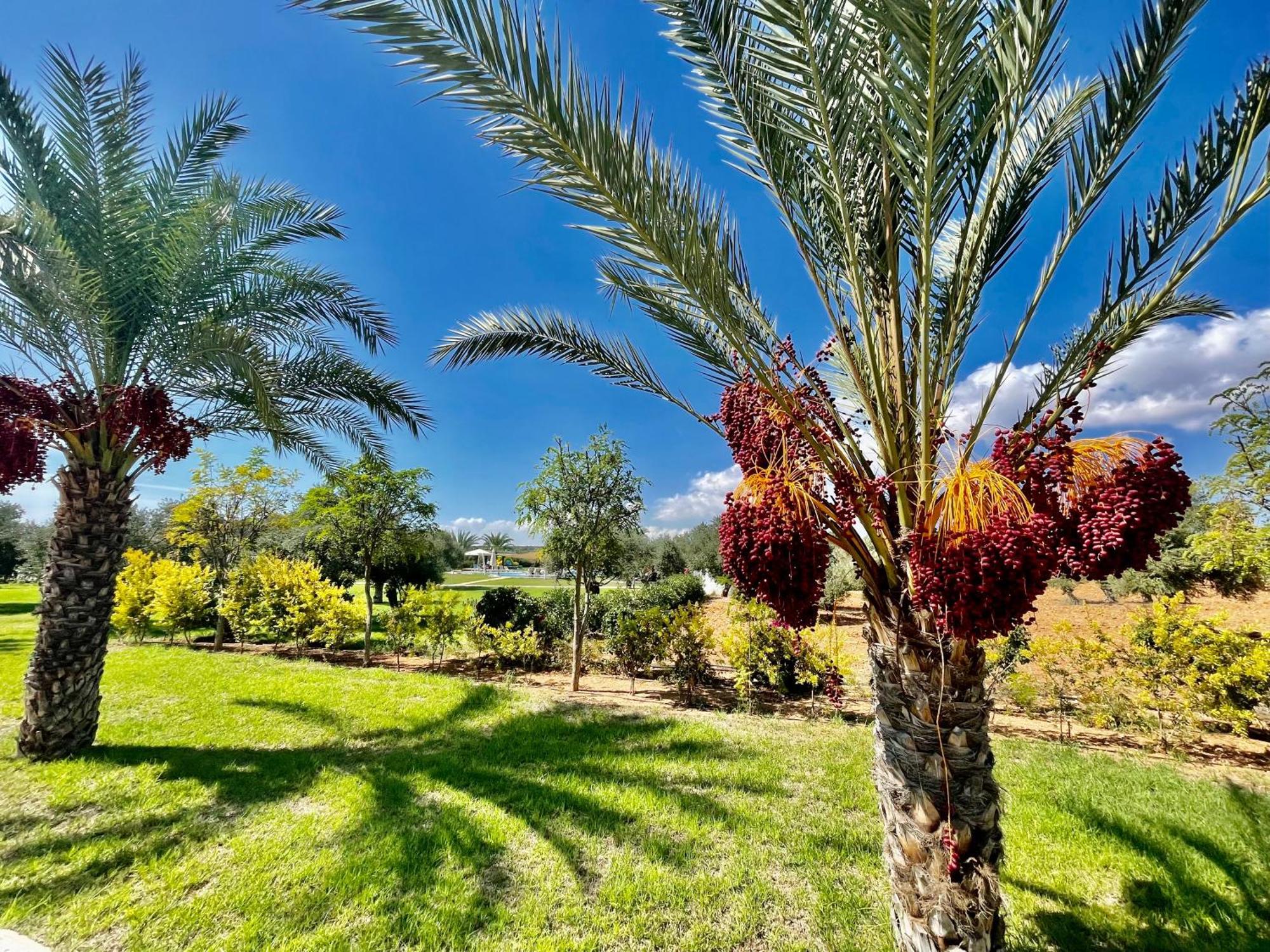 Vokolidha Relaxing Penthouse Suites By The Sea מראה חיצוני תמונה